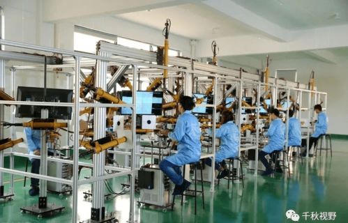 通向工廠之路 誰(shuí)在和制造業(yè)爭(zhēng)奪工人？——軟件科技領(lǐng)域技術(shù)開(kāi)發(fā)的影響與反思